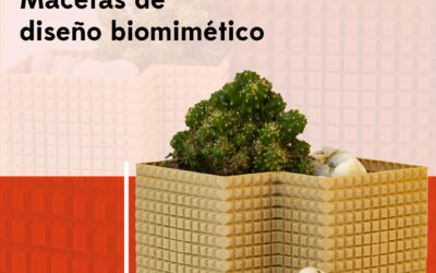 Colección Vita + Maceta biomimética